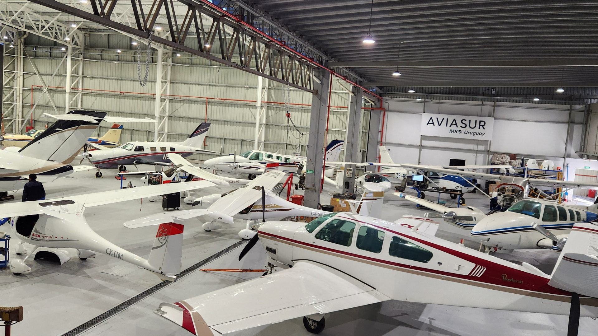 Aviasur